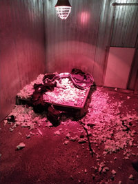 Couchages chiens refusés